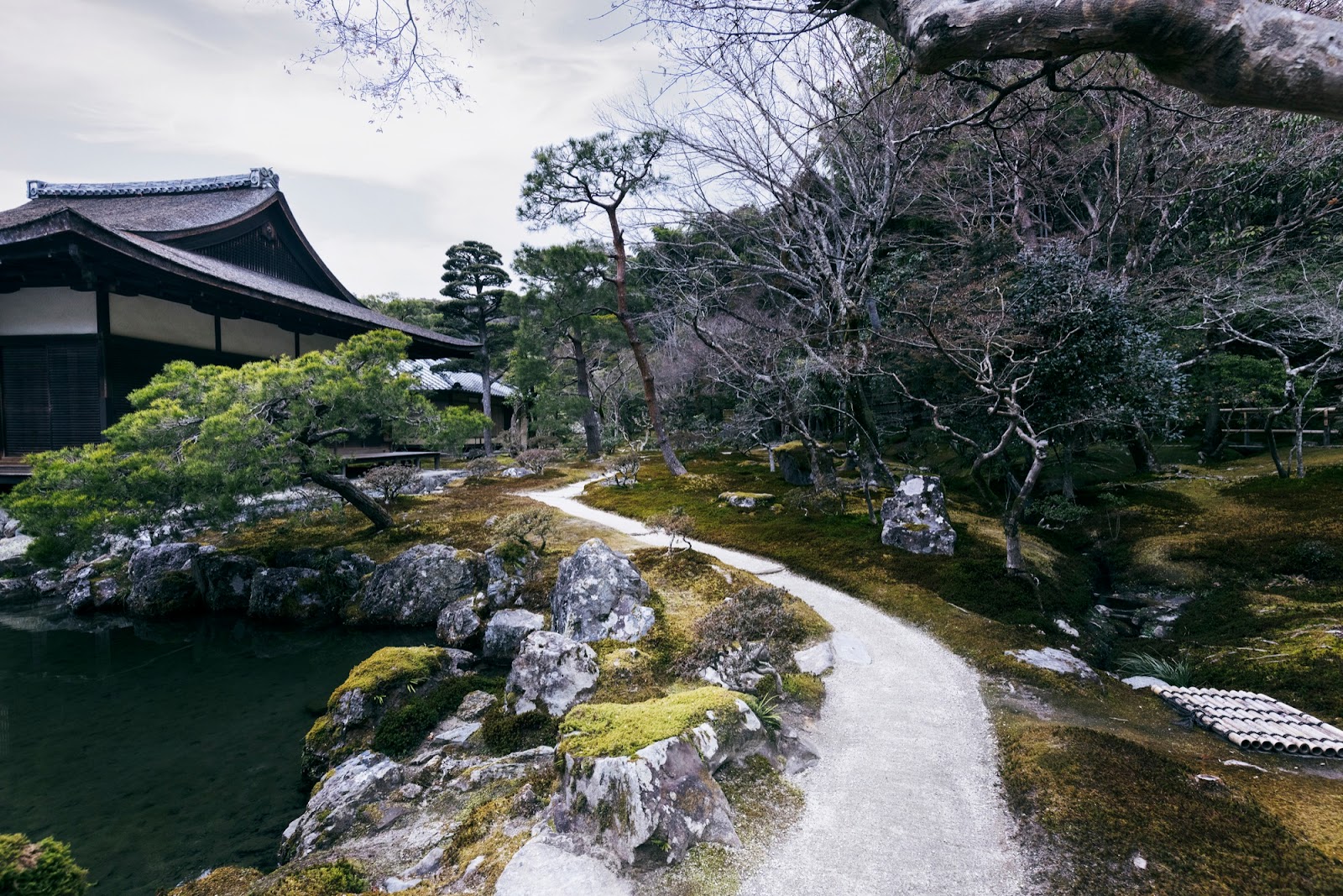 Japon: quoi découvrir comme belle campagne ou extérieur ?